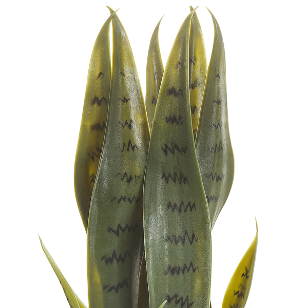 Kunstpflanze SNAKE PLANT 40 cm Grün