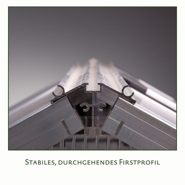 Stabiles, durchgehendes Firstprofil aus Aluminium für Gewächshäuser in der Detailansicht.