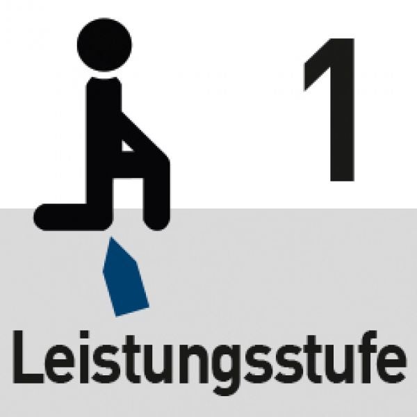 Leistungsstufe 1 Symbol