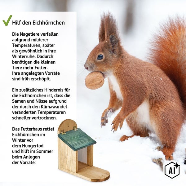Eichhörnchen Futterhaus aus Holz mit Klappdach und ein Eichhörnchen mit einer Walnuss im Schnee für die Winterfütterung.