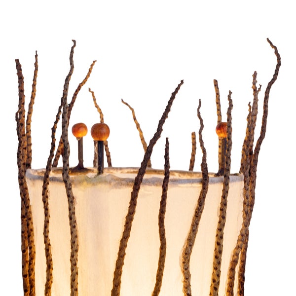 Dekorative Lampe mit Ästen