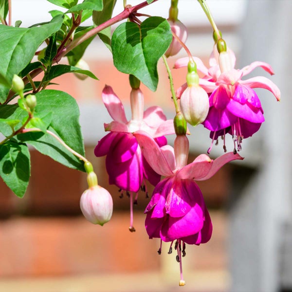 Gabelstapler-Kippbehälter aus Metall mit Warnstreifen