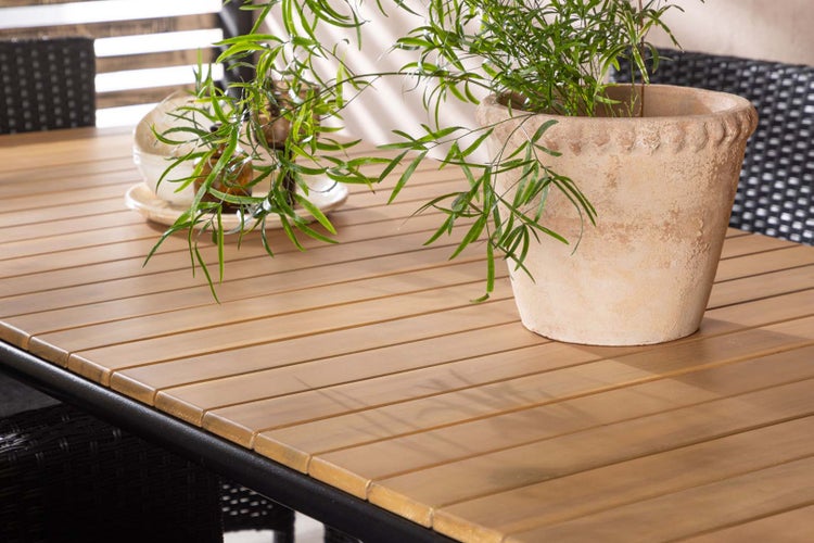 Nahaufnahme eines Gartentisches mit Pflanze im Topf und Geschirr.