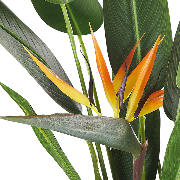 Kunstpflanze STRELITZIA TREE 115 cm Grün
