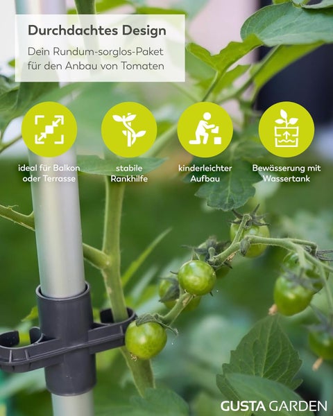 Illustration eines Tomatenanbausets mit Rankhilfe und Bewässerungssystem
