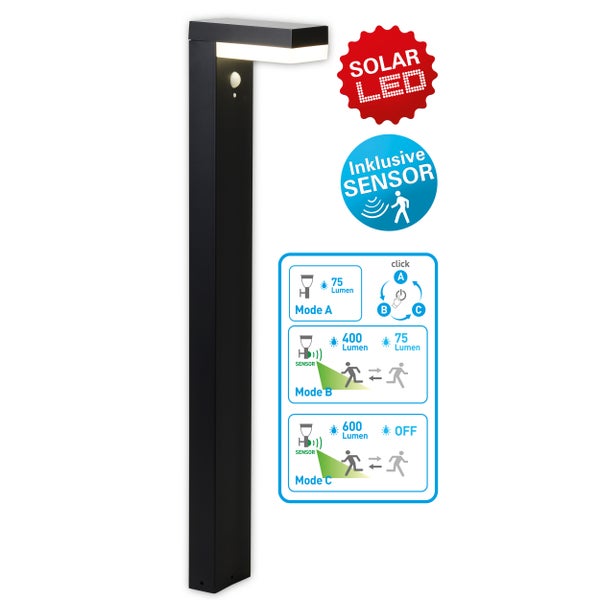 Solarleuchte mit LED und Bewegungssensor