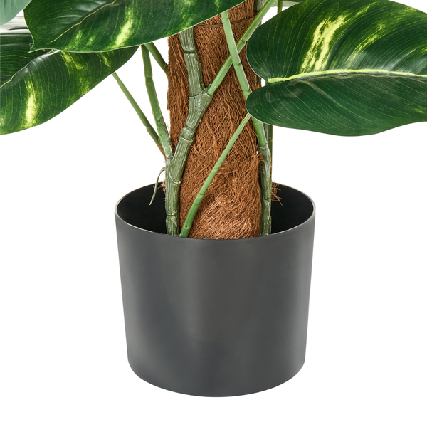 Kunstpflanze DIEFFENBACHIA 152 cm Grün