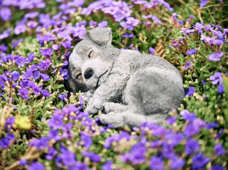 Dekorative Gartenfigur eines schlafenden Hundes aus Stein in einem Beet aus violetten Blumen.