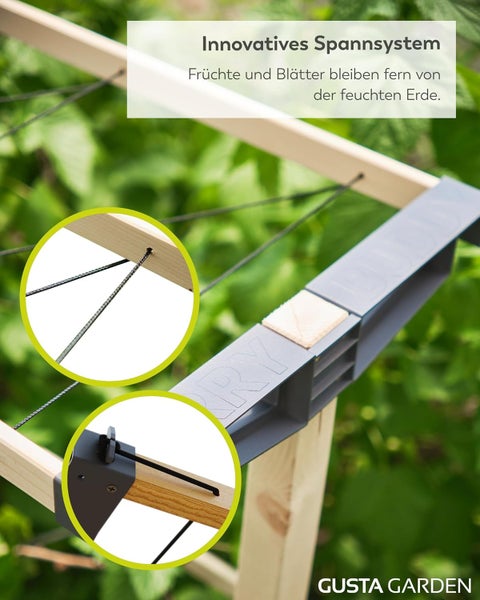 Innovatives Spannsystem für Beerenpflanzen aus Holz und Kunststoff zur Unterstützung von Früchten und Blättern über dem Boden.