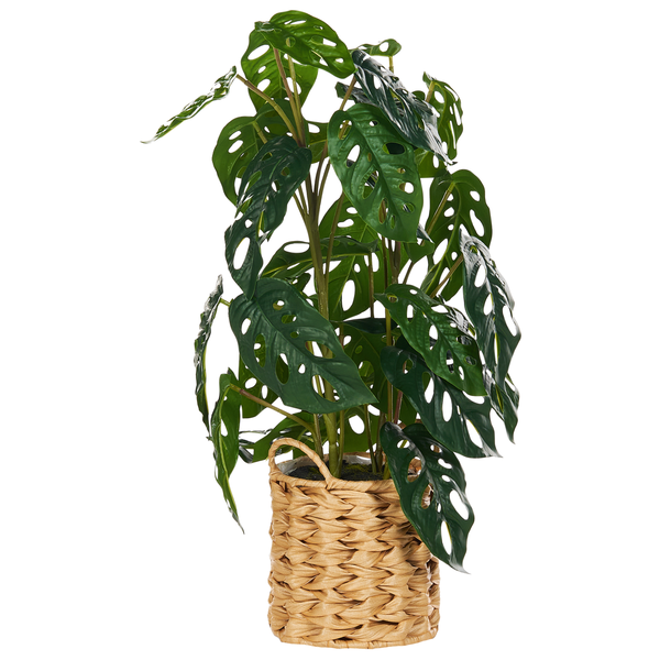 Kunstpflanze MONSTERA ADANSONII 53 cm Grün