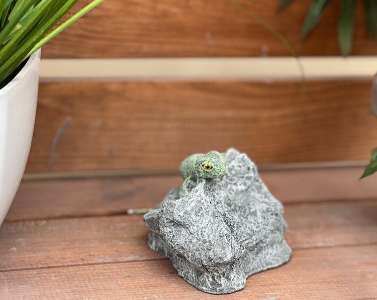 Dekorative Gartenfigur in Form eines kleinen Geckos auf einem Stein, wetterfeste Garten Deko für den Außenbereich.