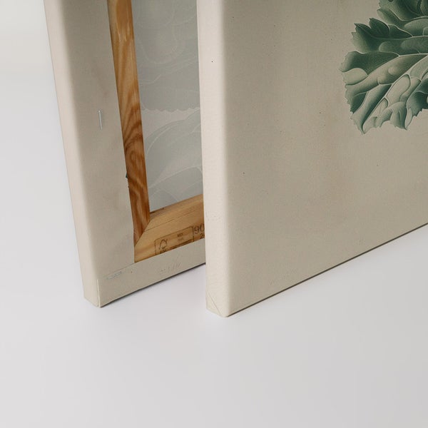 Nahaufnahme zweier Leinwandbilder mit botanischen Motiven und Holzrahmen