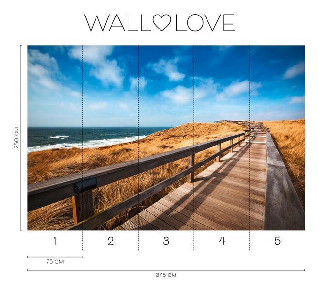 Walllove Fototapete mit einem Weg durch eine Dünenlandschaft, Abmessungen 250 x 375 cm