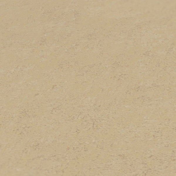 Reihe von Olivenbäumchen in Tontöpfen