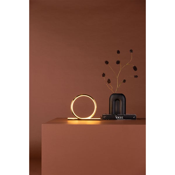 Blaubeerbusch in einem Topf