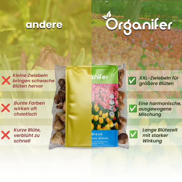 Vergleich von Blumenzwiebeln der Marke Organifer mit anderen Blumenzwiebeln.