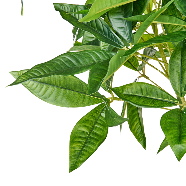 Kunstpflanze PACHIRA TREE 120 cm Grün