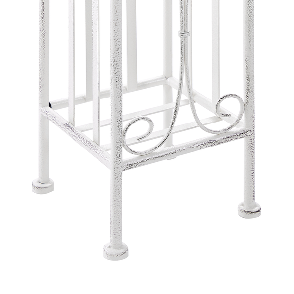 Nahaufnahme einer blühenden Viburnum-tinus-Pflanze mit grünen Blättern