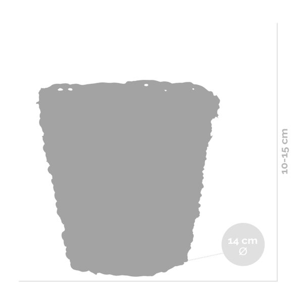 Korb Gaby Natur grob – Seegras – Terami Kasih – ⌀12 cm –↕ 15 cm