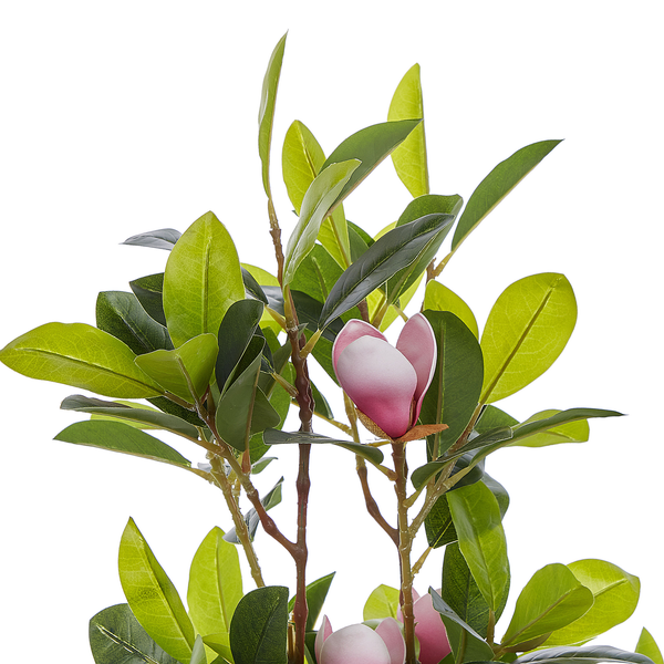 Kunstpflanze MAGNOLIA 70 cm Grün