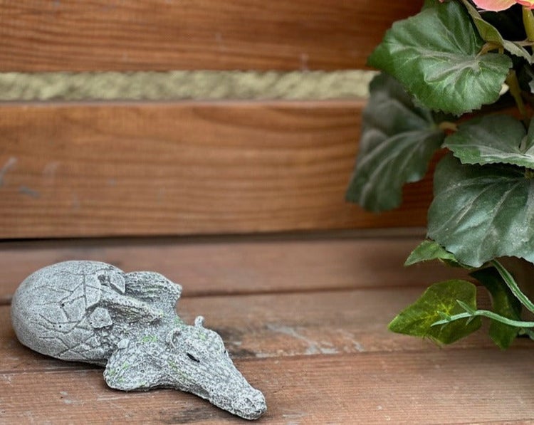 Kleine Gartenfigur in Steinoptik, die einen schlüpfenden Drachen darstellt, auf einer Holzoberfläche neben einer Pflanze.
