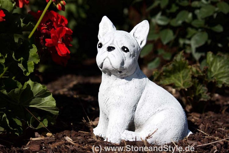 Gartenfigur in Form einer Französischen Bulldogge aus wetterfestem Material zur Dekoration im Garten oder auf der Terrasse.