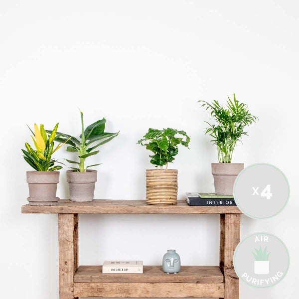 Schmutzfangmatte mit Rippenstruktur