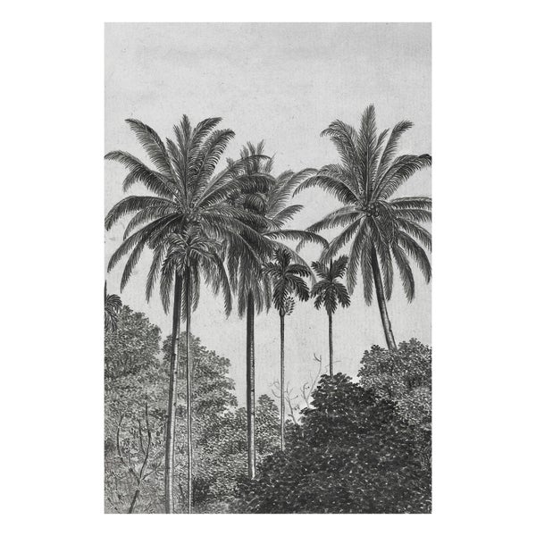 Palmen - Fototapete - 300x200 cm