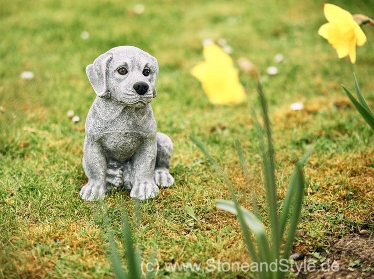 Gartenfigur Hund Welpe aus Steinguss sitzend im Gras