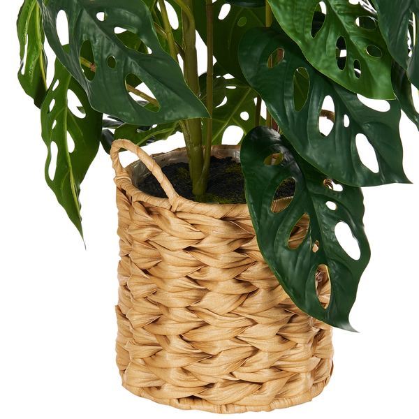 Kunstpflanze MONSTERA ADANSONII 53 cm Grün