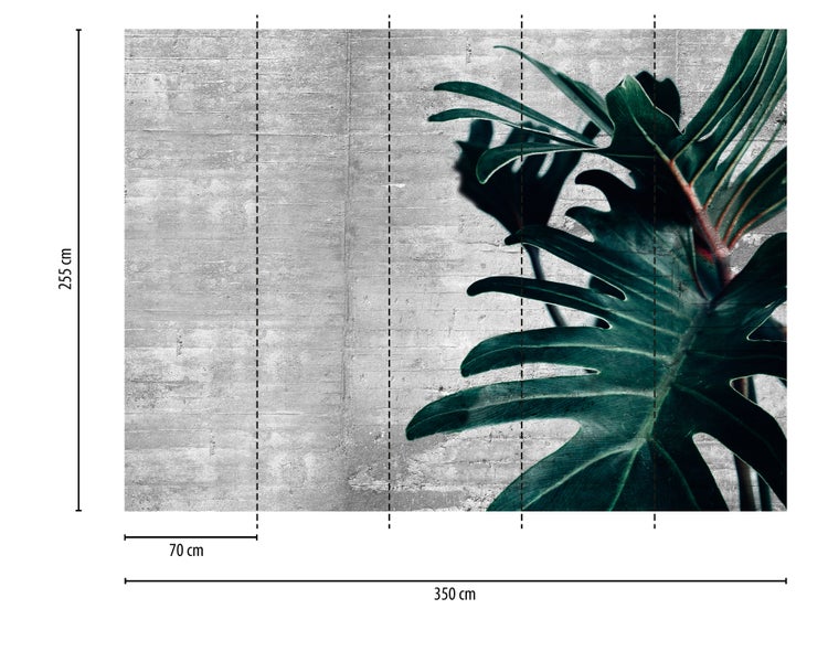 Fototapete mit Betonoptik und tropischem Blatt. Maße: 350 Zentimeter breit, 255 Zentimeter hoch, bestehend aus 5 Bahnen je 70 Zentimeter.