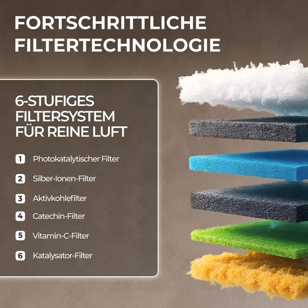 Infografik zu einem 6-stufigen Filtersystem für reine Luft mit photokatalytischem Filter, Silber-Ionen-Filter und Aktivkohlefilter.