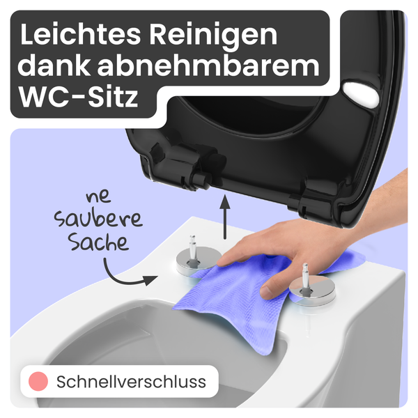 WC-Sitz mit Reinigungsfunktion durch Abnehmen des Sitzes