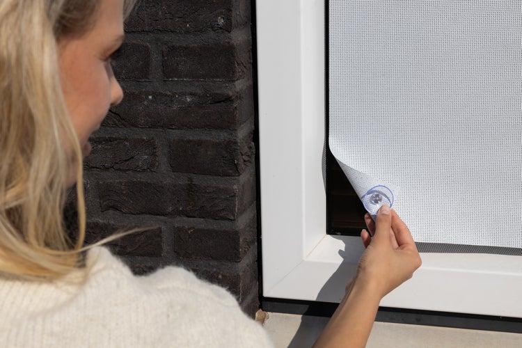 Frau befestigt ein Insektenschutzgitter mit Saugnäpfen an einem Fenster.