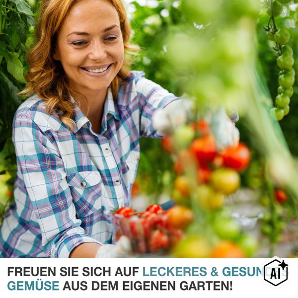 Eine Frau erntet frische Tomaten in einem Gewächshaus für den Anbau von eigenem Gemüse im Garten.