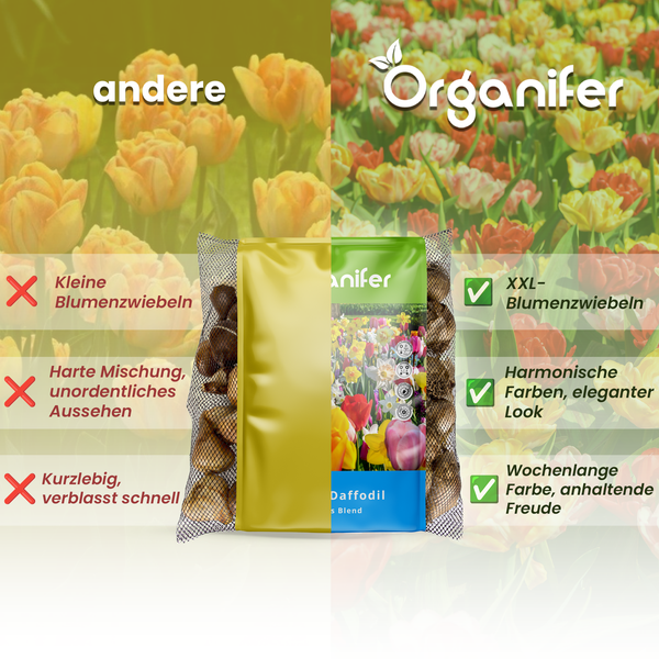 Organifer Blumenzwiebeln Daffodil Mischung im Vergleich zu anderen Blumenzwiebeln