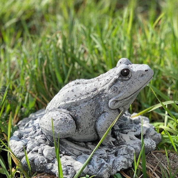 Dekorative Gartenfigur Frosch aus Stein in naturnaher Optik sitzend auf einem Steinsockel im Gras platziert.