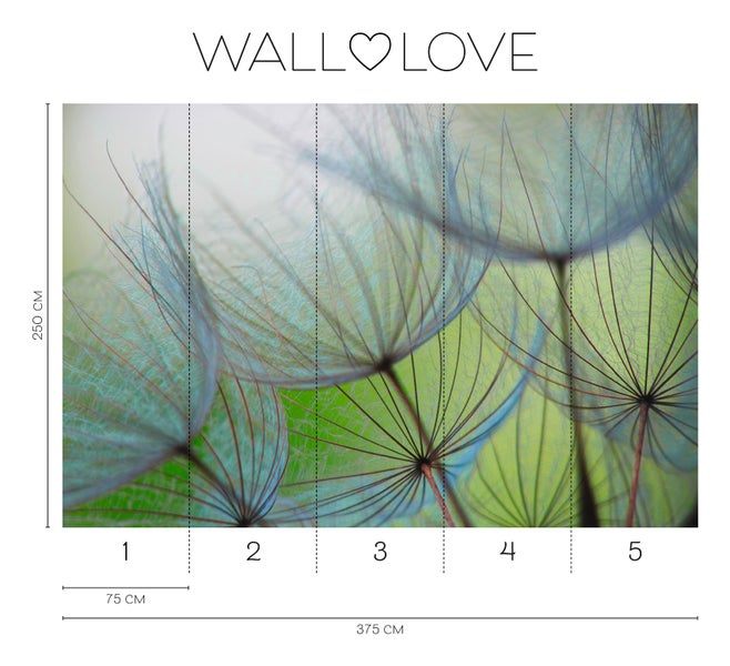 Wall Love Fototapete mit Pusteblumenmotiv und Maßangaben