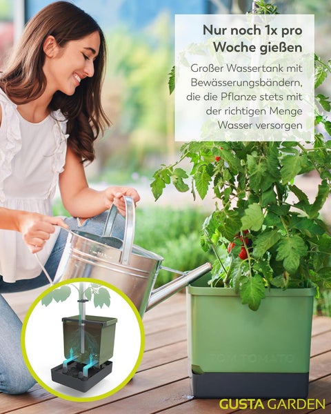Frau gießt Tomatenpflanze im GUSTA GARDEN Pflanzkasten Tom Tomato mit Bewässerungssystem