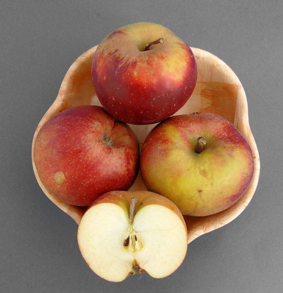 Vier Äpfel in einer Holzschale, einer davon halbiert