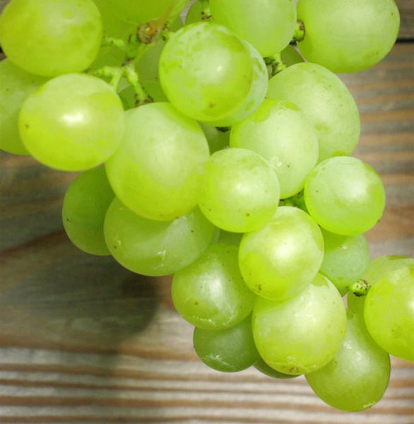 Eine Traube mit grünen Weintrauben auf einem Holztisch.