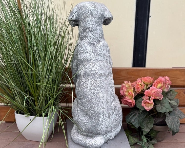 Sitzende Hundefigur aus Stein für den Garten, von hinten fotografiert, auf einer Holzbank neben Pflanzen.