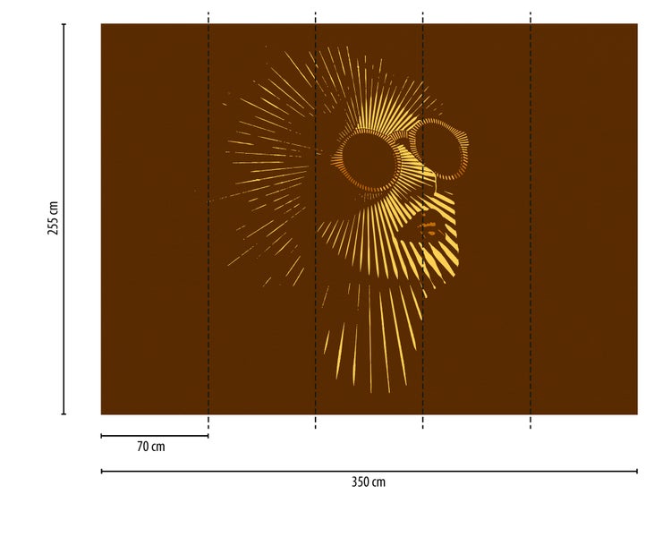 Fototapete mit einem stilisierten Gesicht mit Sonnenbrille aus radialen Linien, Maße 350 mal 255 Zentimeter, 5 Bahnen je 70 Zentimeter.