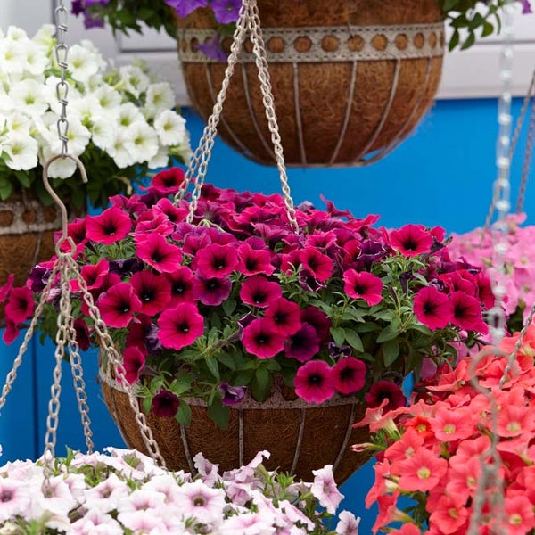 Nahaufnahme einer dekorativen Lampe mit filigranem Muster.