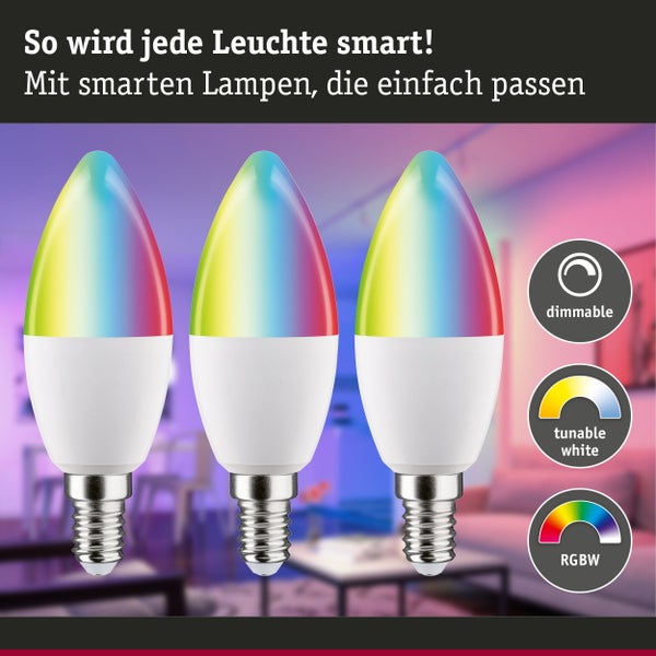 Paulmann LED Leuchtmittel Energieeffizienzlabel Klasse F mit technischen Daten und Entsorgungshinweisen