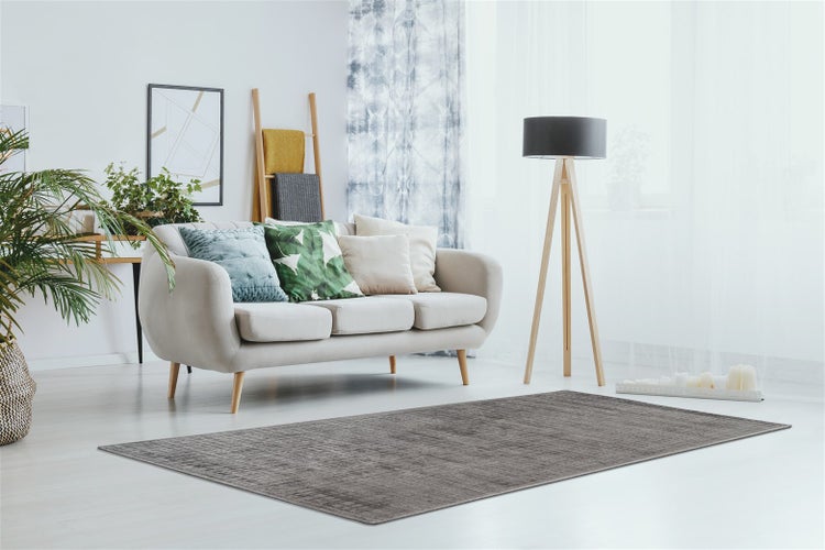 Modernes Wohnzimmer mit grauem rechteckigem Teppich, hellem Sofa mit Zierkissen, hölzerner Stehlampe und Zimmerpflanzen.