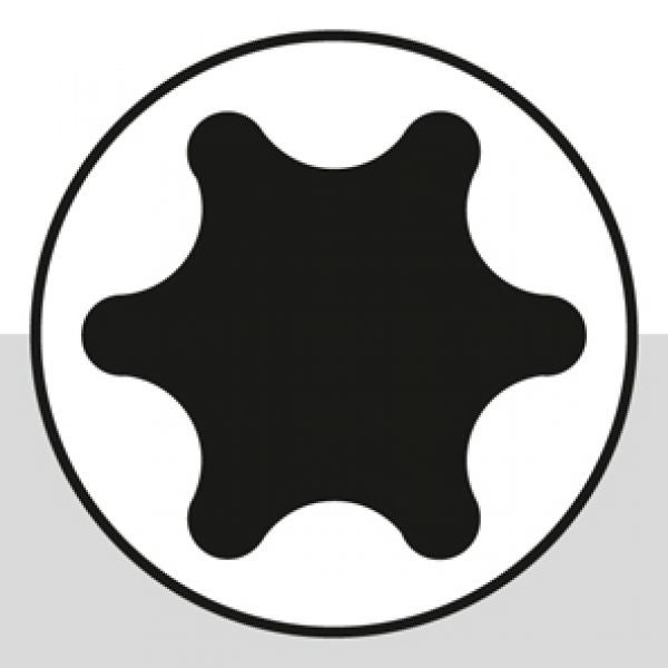 Triuso Bit-TX T25 TIN 25mm - 2 Stück