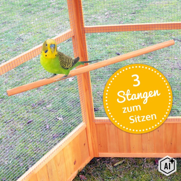Wellenittich in einer Vogelvoliere aus Holz mit Drahtgeflecht und drei Sitzstangen.