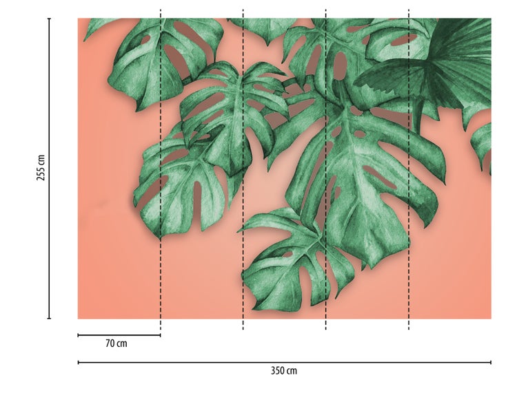 Fototapete mit Monstera-Blättern, 350 mal 255 Zentimeter, bestehend aus 5 Bahnen zu je 70 Zentimeter.