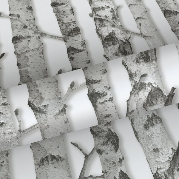 Walls4You Tapete Bäume Grau und Weiß - 53 cm x 10,05 m - 935295